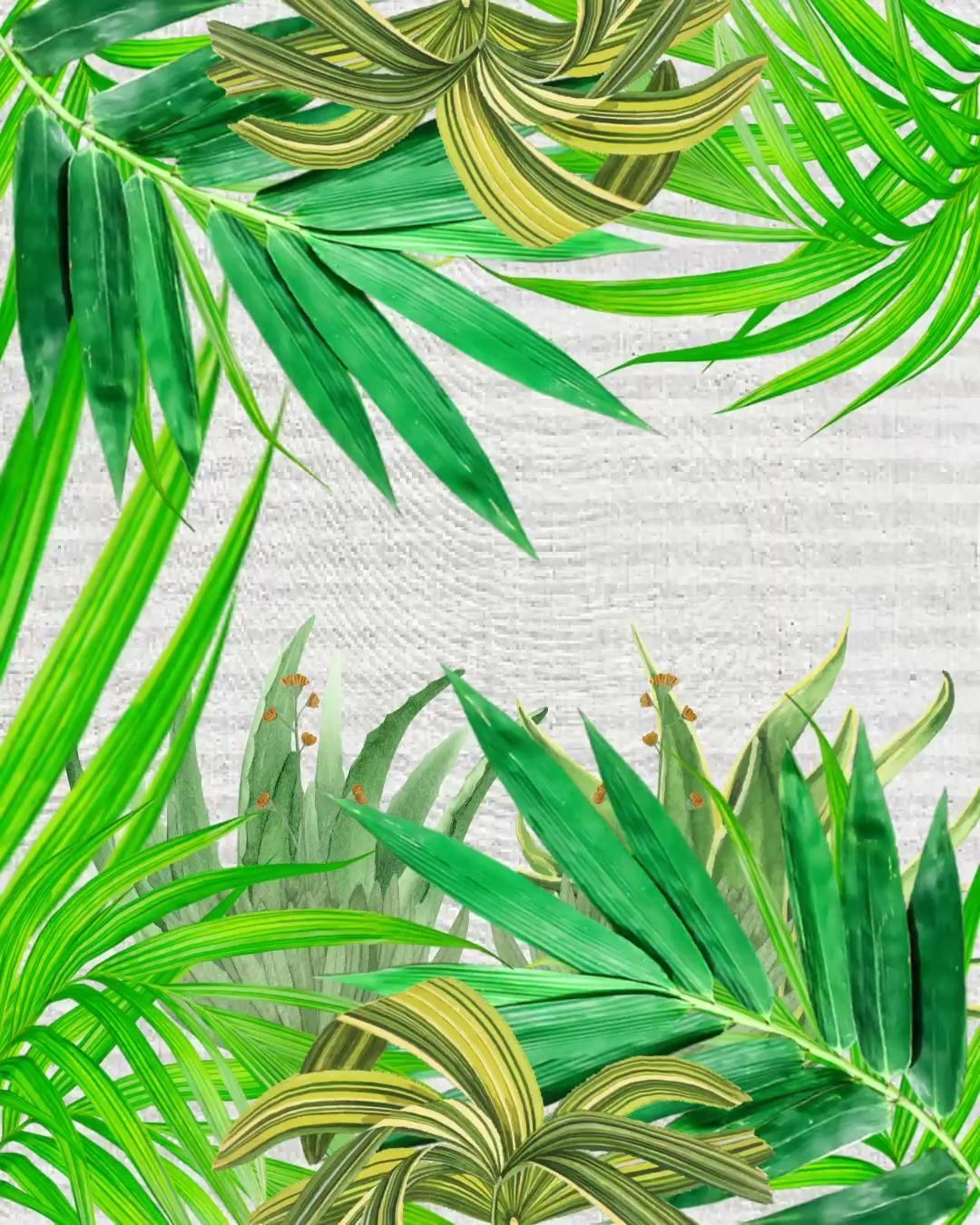 FMCG motion graphics 1